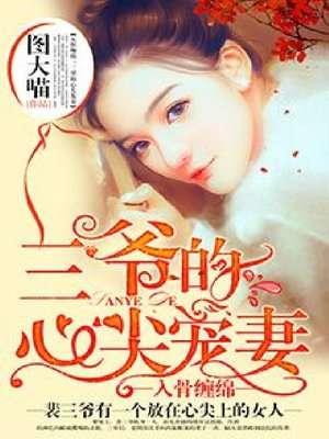 入骨暖婚:三爷的心尖前妻