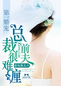 第一婚宠:总裁前夫很难缠