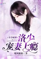 奉孕成婚:洛少,宠妻上瘾!