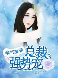 孕气来袭:总裁强势宠