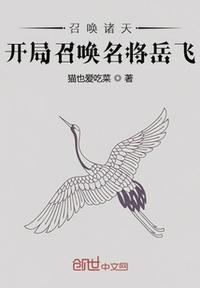 召唤诸天:开局召唤名将岳飞
