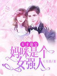 天才萌宝:妈咪是个女强人安宁顾程远