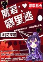 妃常惹火:魔君,滚过来