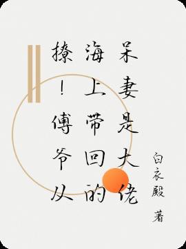 撩!傅爷从海上带回的呆妻是大佬