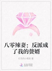 八零辣妻:反派成了我的赘婿