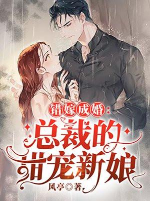 错嫁成婚:总裁的甜宠新娘