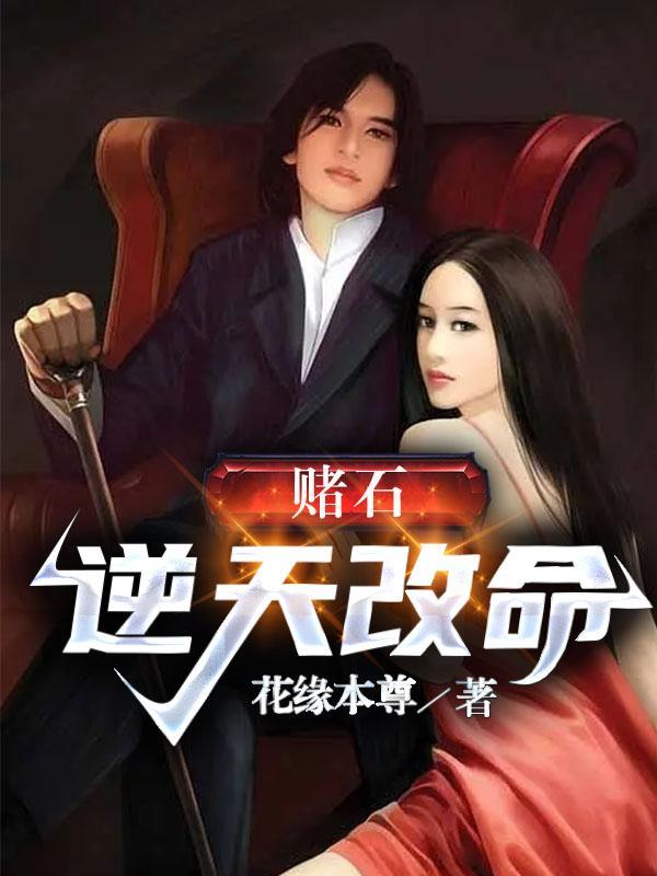 赌石:逆天改命