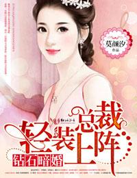 钻石暗婚,总裁轻装上阵