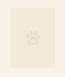 七零硬汉一撒娇,高冷美人服软了