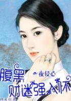 一见侵心:老公大人不好追