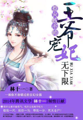 惹火炼术师:王爷宠妃无下限