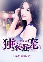 独家强宠:老公太凶猛