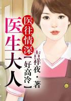 医往情深:医生大人好高冷